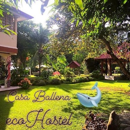 Casa Ballena Eco Hostel 乌维塔 外观 照片