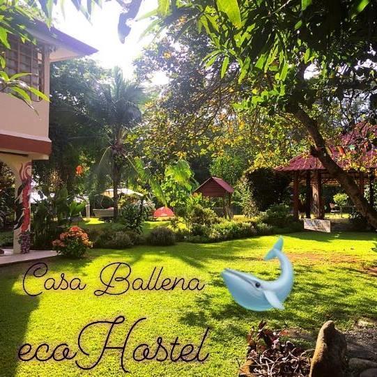 Casa Ballena Eco Hostel 乌维塔 外观 照片